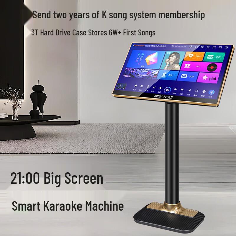 SANSUI M13 Professional Home Karaoke System CN Plug (adapter Included)