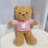 Cute Hug Bear Teddy Bear Doll Doll Sleeping with Clothes Bear Rag Doll Plush Toy Gift