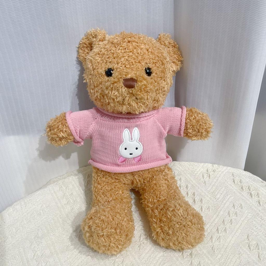 Cute Hug Bear Teddy Bear Doll Doll Sleeping with Clothes Bear Rag Doll Plush Toy Gift