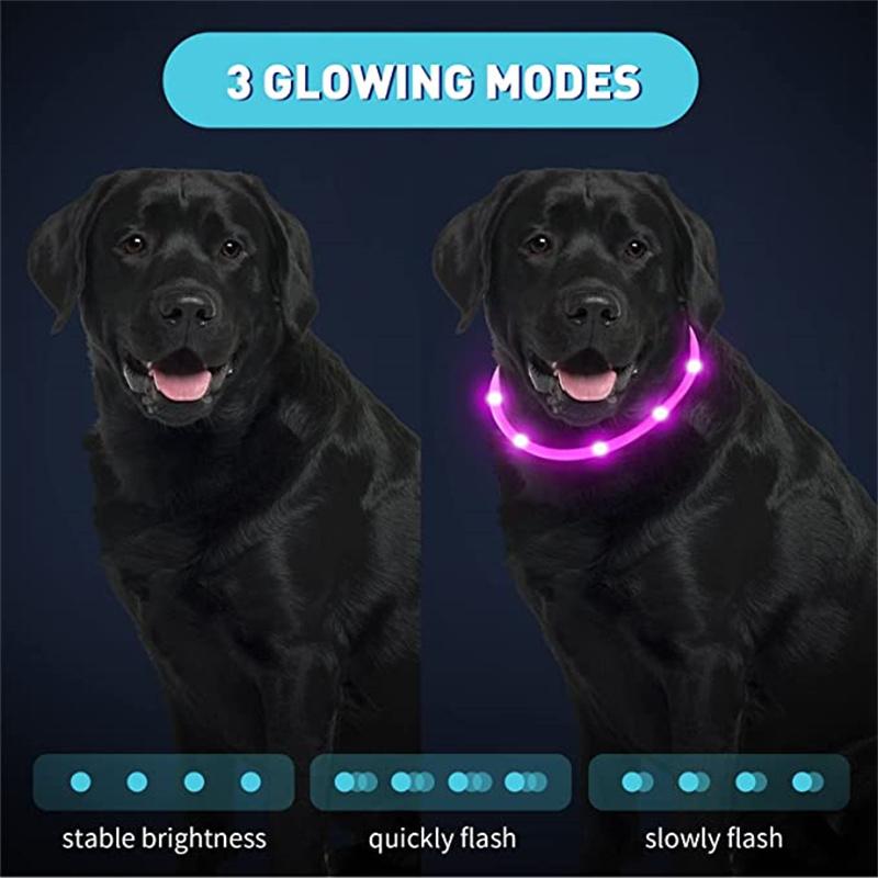 LED Dog Collar USB Rechargeable Light Up Dog Collars, Lighted Dog Collar Glowin The Dark, Flashing Lights for Your Walking Night