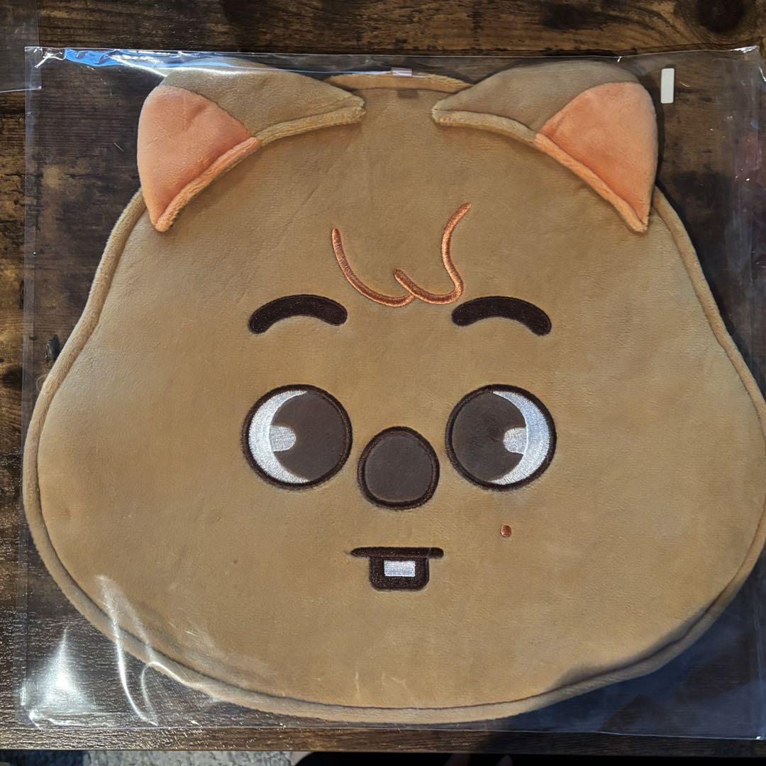 

[USED] Straykids Hank Okka Han Fan Case