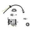 Carburetor For Leaf Blowers Complete Replacement Kit