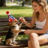 Patriotic American Flag Pet  Hat With Red  – Perfect For Celebrations & Pet Parties