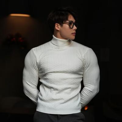 Neuer dicker warmer Pullover für Herbst und Winter, Slim Fit, Herrenpullover, mehrfarbiger Pullover, Strickpullover