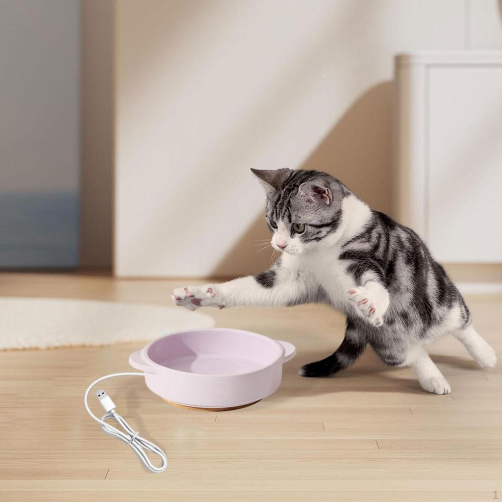 Pet Heated Bowl Ceramic Waterer Elevated Cat Dog Feeding for Winter