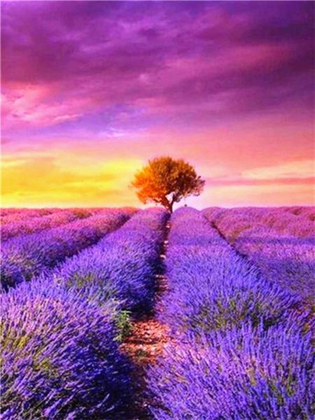 Diamond Painting Lavender Scenery Home Decor Mosaic Embroidery Sunset Landscape Rhinestone Pictures Diamond Art