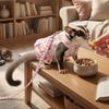 Escape-Proof Ferret Harness Skirt Breathable Hamster Vest Cute Harness Suit  Pet Costume