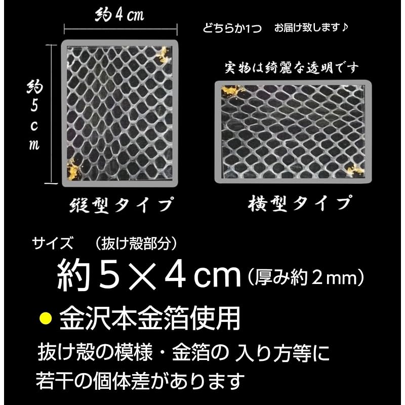 Luxurious White Snake Shell (Back - Kanazawa Gold Leaf) Laminated - Good Luck & Charm / Shrine Prayer Preserved / Clear Type (Transparent) - Premium