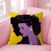 AAndy WWarhol Art  Cushion Cover Car Throw Pillow Case For Sofa Car Christmas Gift