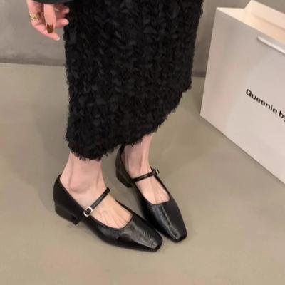 Fashion Women's Shoes 2024 Hot Sale Mary Janes Women's High Heels Square Toe Daily Pumps Women Buckle Strap Square Heel Shoes Female