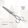 Pet Grooming Scissors Set: Professional Thinning & Cutting Tools for Dogs