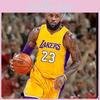 ג'רזי כדורסל אותנטי של לוס אנג'לס לייקרס לברון ג'יימס 23 לבן כחול צהוב
