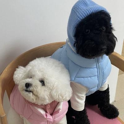 Pet Accessories Warm Dog Knitted Hat Soft Comfortable Pet Hooded Scarf Solid Color Fashion Dog Decorative Hat Outdoor
