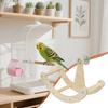 Parrot Perch Wooden Intelligence Enrichment Exercise Wheel Cockatiel Toys For Parakeet Cockatiel Conure Canary Lovebird African