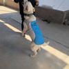 Summer Pet Clothes Vest Breathable Mesh Material Cooling Puppy Short Sleeves Adjustable Dog Clothes Soft and Comfortable
