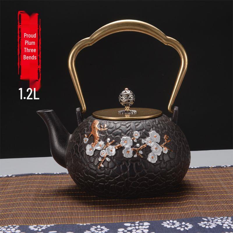 Hand-Forged Japanese Cast Iron Teapot for Gongfu Tea