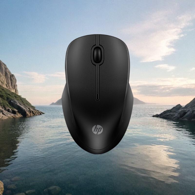 HP 255 Dual-Mode Wireless Mouse