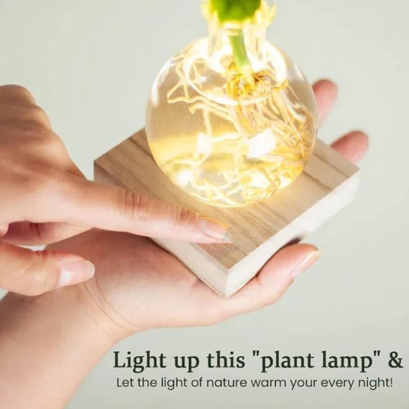LED Illuminated Hydroponic Glass Vases For Visible Plant Root Growth Display And Ambients Night Light Decoration Home Office