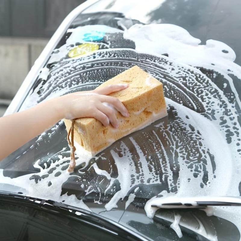 Large Coral Car Wash Sponge Honeycomb Design High Water Absorption Scratch Free For Auto Detailing Car Cleaning