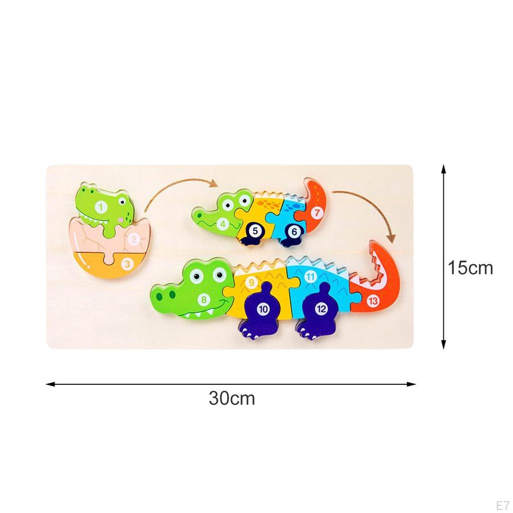 Tierlebenszyklus Puzzle Motorik Puzzlebrett Kreativität Vorstellungskraft für Kleinkind Vorschule