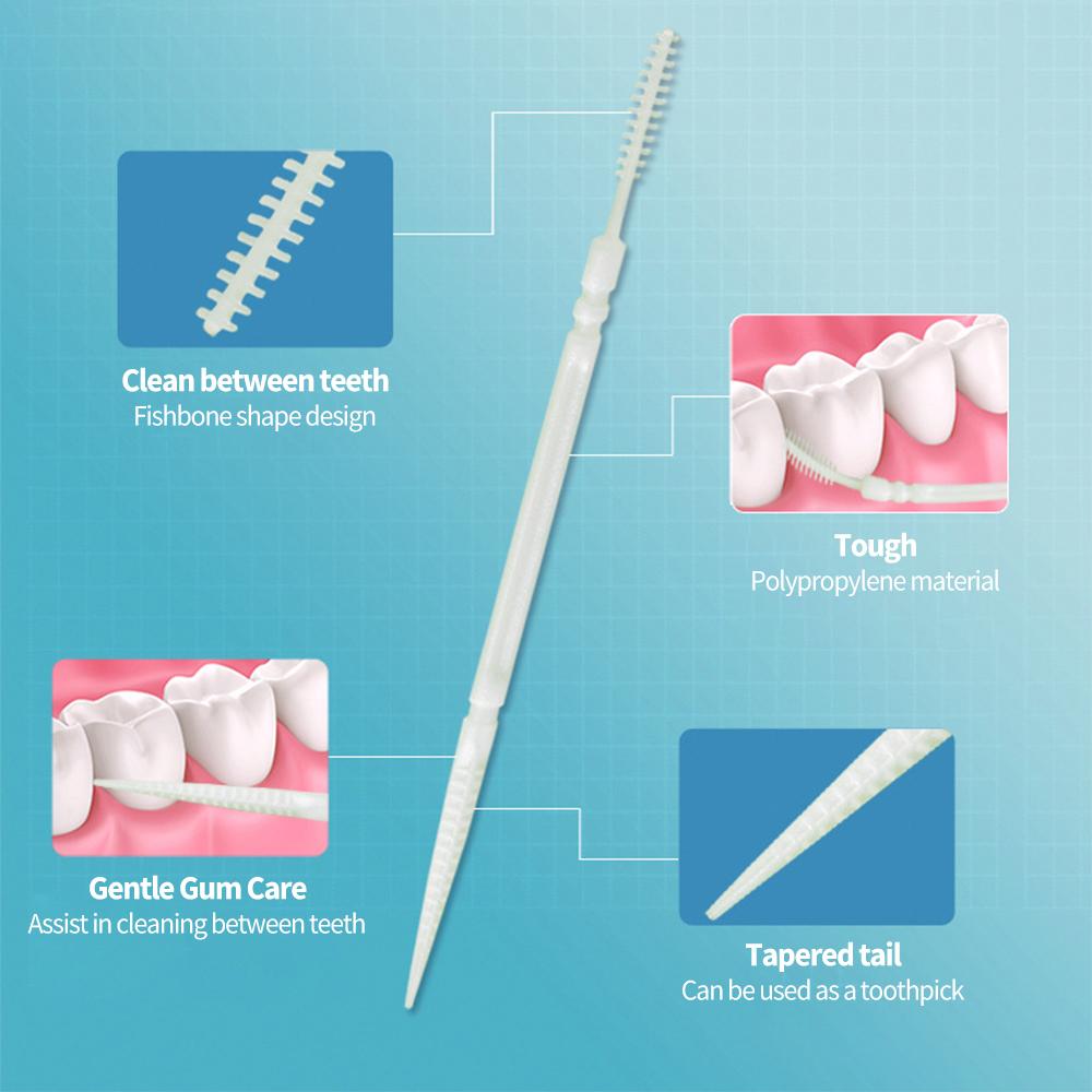 100 pièces Fil dentaire double tête Cure-dents interdentaires Bâtonnets pour les dents Nettoyage des dents Soin bucco-dentaire Brosse interdentaire