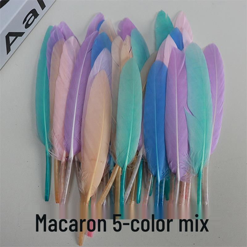 Barevná barvená velká husí pera pro DIY řemesla, ručně vyráběné dekorace a projekty pro mateřské školy