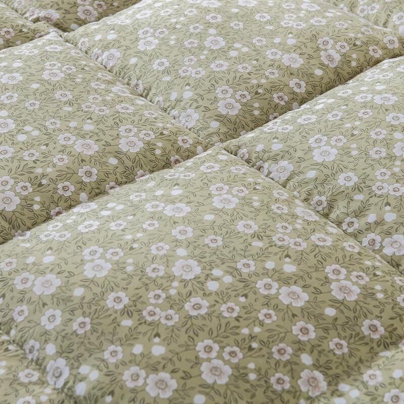 Faunen FN-B6087 28°C Constant Temperature Oxygen Quilt