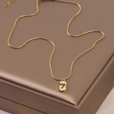 2025 Women's Titanium Steel Necklace: Light Luxury, Clavicle Chain, Non-Fading High-End Accessory