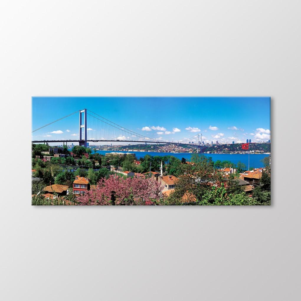 

Живопись Босфорского моста