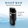 W WINBRIDGE 15W Portable Speaker with Card Ideal for Retail Tourist and More Microphone, Hands-Free, Compact, USB/TF Compatible, Events, Meetings,