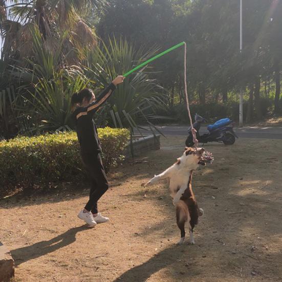 1 Set Dog Stick Rod Bite Toy Extendable Grip Dogs Resistant Comfortable IQ Training Braided Cotton Rope Dog Interactive