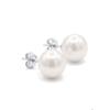 Boucles d'oreilles - PEARLS &amp; COLORS - Perles d'eau douce boutons - Argent 925 - Perle blanche 10-11 mm - Qualité AAA+