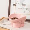 Changbaosen Ceramic Elevated Slanted Pet Bowl