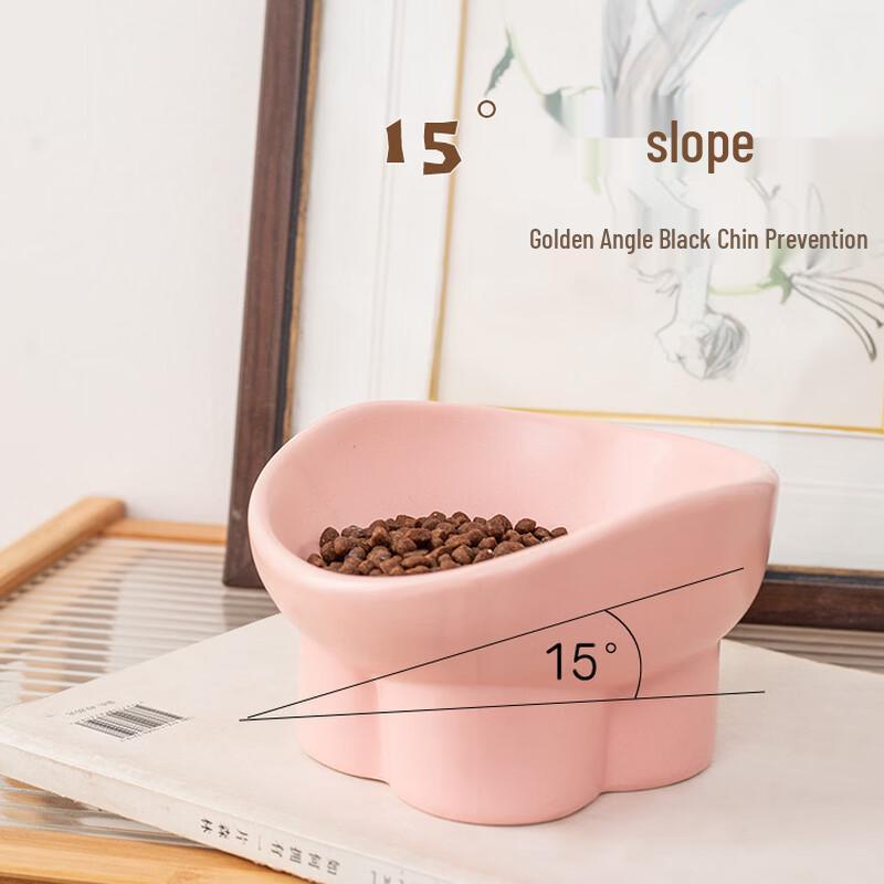 Changbaosen Ceramic Elevated Slanted Pet Bowl