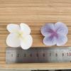 Premium 3D Phalaenopsis Orchid Petal Hairpins & Wedding Decor