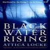 Black Water Rising by Attica Locke Paperback Book 9781846687532