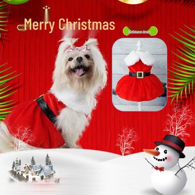 Christmas Pet Party Costume: Gold Velvet Santa Claus Dress