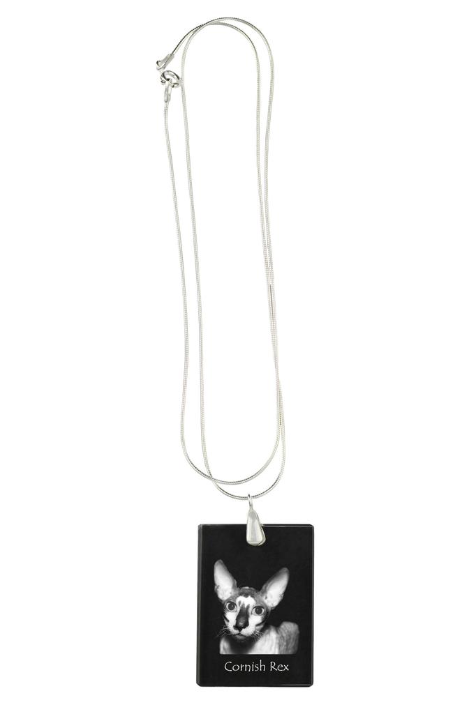 Cornish Rex – Crystal pendant with cat, silver necklace with photo | Art-Dog