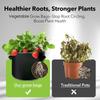 Plant Grow Bags 1/2/3/5/7/10/12 Gallons Non-Woven Grow Vegetable Grow Bags with Handles Flower Planting Containers Garden Tools