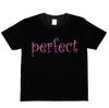 Perfect Fun Present For Birthday Girls T-shirt Funny Birthday Present Gift