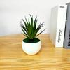 Gladiolus Pvc Realistic Succulent Flower Pot Plastic Craft For Living Decor Room