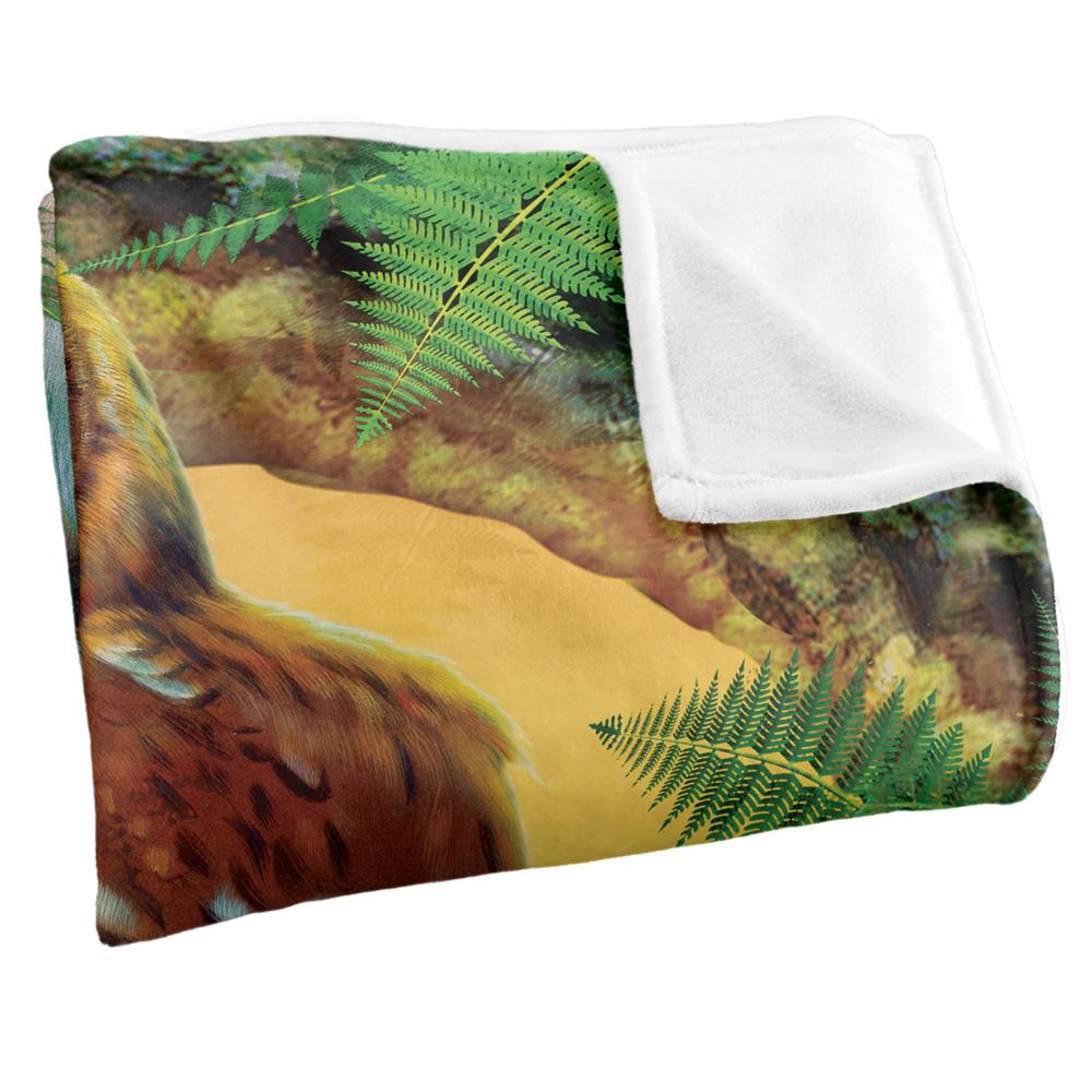 JQ Licensing Silky Owl Supersoft Blanket