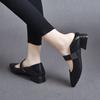 Pointed single shoes Mary Jane shoes spring simple temperament light mouth low heel square buckle women's flat shoes
