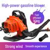 Kalei Backpack Gasoline Blower CN Plug (adapter Included)
