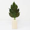 [A&K] Extremely Budget-Friendly Sakaki Trees, Mini Size, Made with Natural Japanese Sakaki Leaves, Perfect for Heat, Will Not Rot, No Replacement