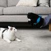 Cartoon Puppet for Cats Plush Stuffed Cats Hand Puppet Wrestler for Engaging Play and Bonding with Your Feline Friend