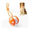 Self-moving Toy Ball for Dogs with Motion Sensing Rope, Rechargeable Educational Ball, Promotes Indoor Play with Random Movement, Suitable for All