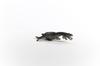 Schleich Dinosaur Nothosaurus 15031