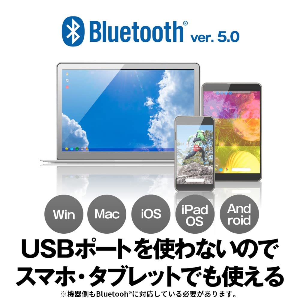 Buffalo Wireless Mobile Bluetooth Thin and Design with Quiet Blue DPI Presentation Up To 972 Days of Compatible with Standard Silver Mouse, FLEXUS,