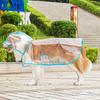 XS/8XL Pet Raincoat Transparent Dog Raincoat Waterproof and Windproof Pet Clothing Large Dog Pet Dog Dog Costume